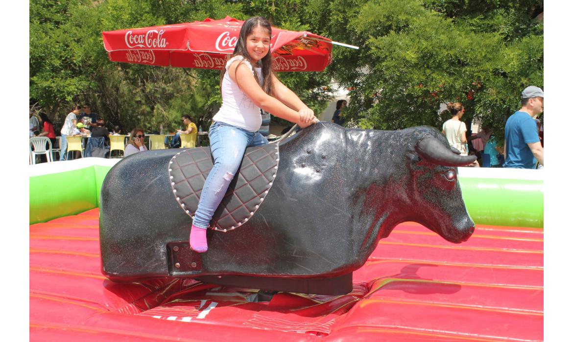 Rodeo 